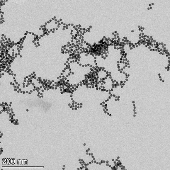 13nm Reactant Free Gold Nanoparticles