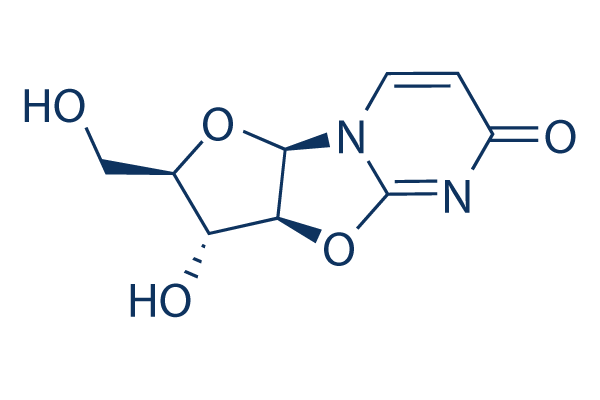 2,2'-Cyclouridine