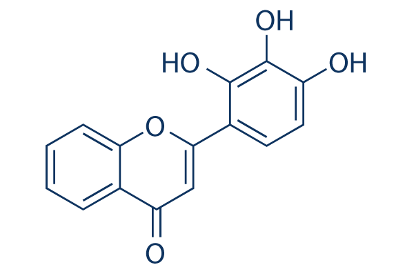 2-D08