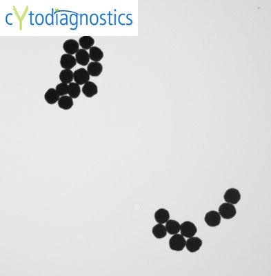 250nm Stabilized Gold Nanoparticles