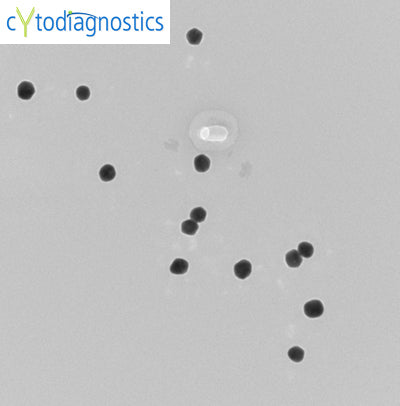 40nm Endotoxin Free Gold Nanoparticles