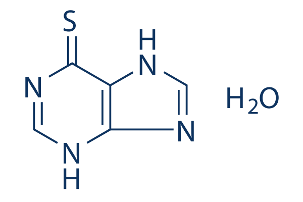 6-Mercaptopurine (6-MP)Monohydrate