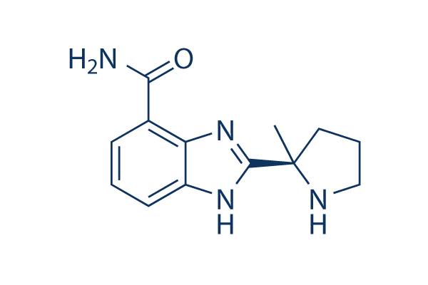 Veliparib (ABT-888)