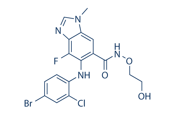 AZD6244 (Selumetinib)