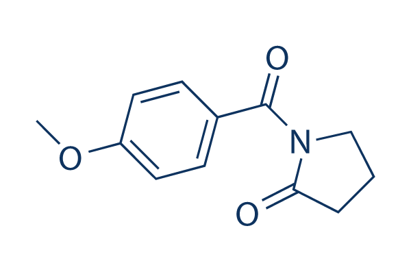 Aniracetam