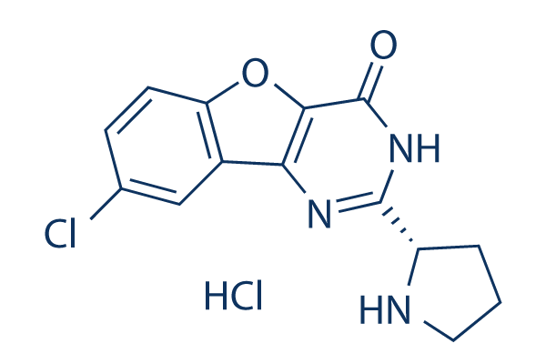 XL413 Hydrochloride (BMS-863233)