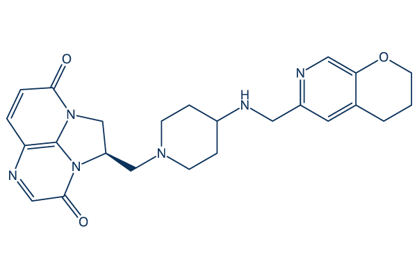 Gepotidacin