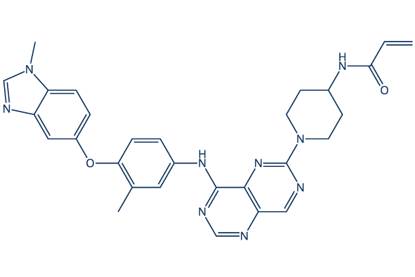 Zongertinib (BI 1810631)