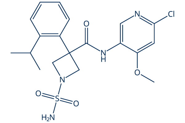 ACT-1016-0707