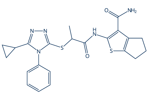 MASM7