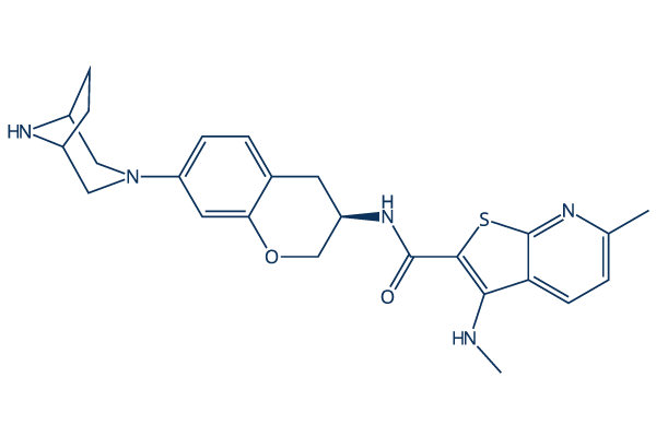 CT1113