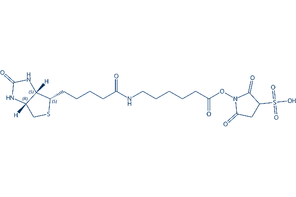 Sulfo-NHS-LC-Biotin sodium