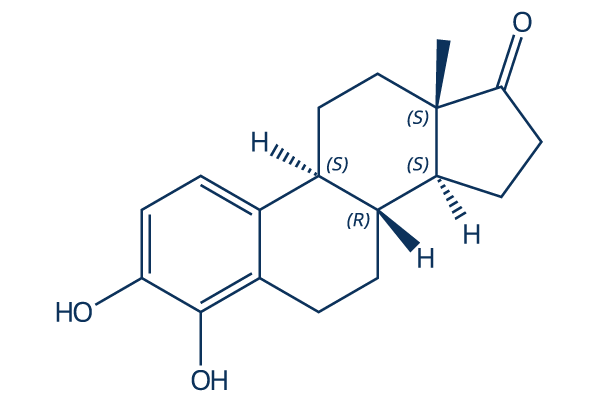 4-Hydroxyestrone