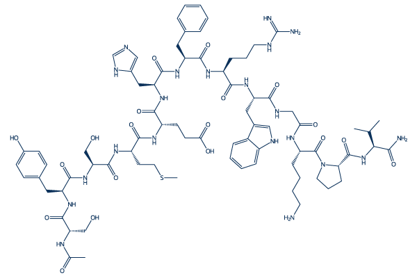 α-MSH