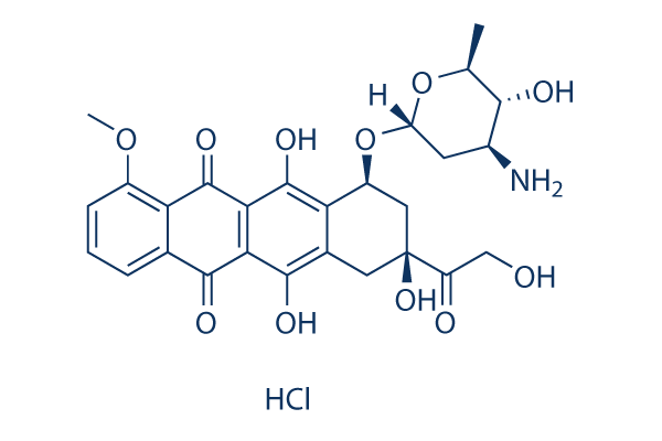 Epirubicin HCl