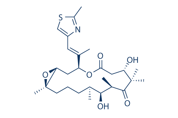 Patupilone (Epothilone B)