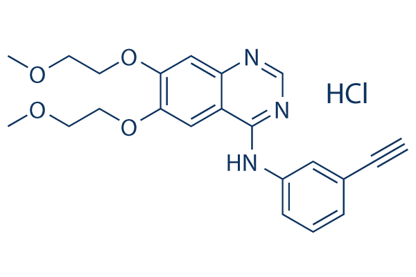 Erlotinib (CP-358774)Hydrochloride