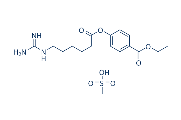 Gabexate Mesylate