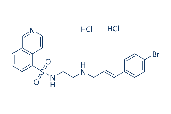 H-89 Dihydrochloride
