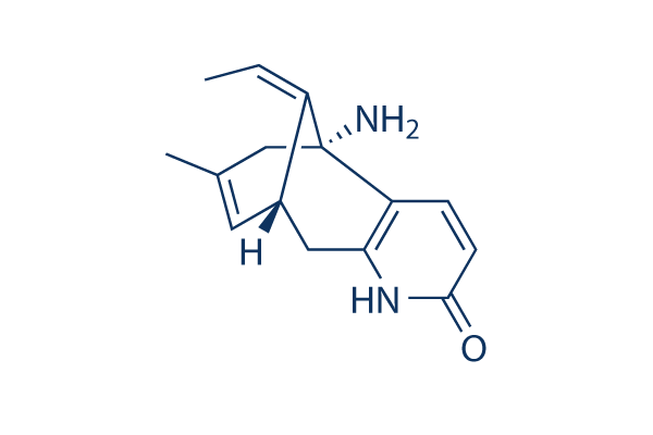 (-)-Huperzine A (HupA)