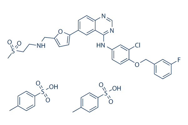 Lapatinib Ditosylate