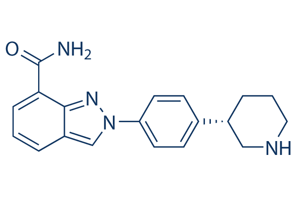 Niraparib (MK-4827)
