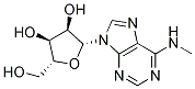 m6A (N6-methyladenosine)