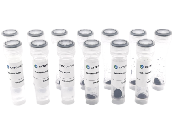 70nm NHS-Activated Gold NanoUrchins Conjugation Kit