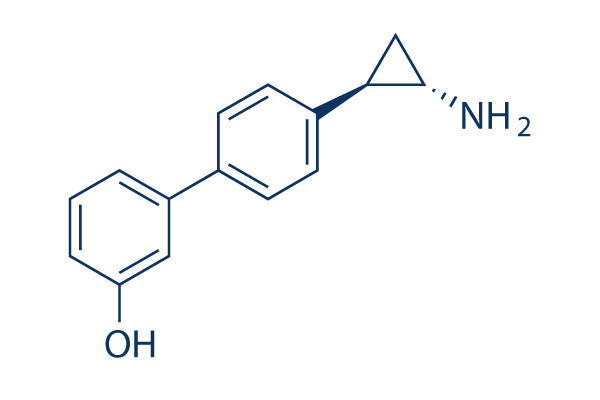 OG-L002