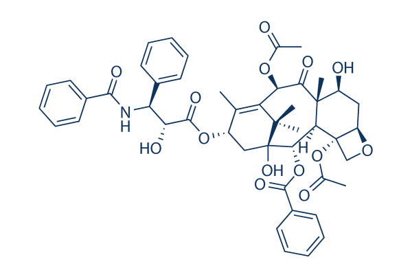 Paclitaxel