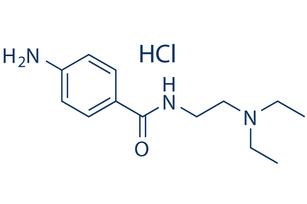 Procainamide HCl