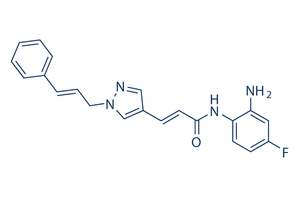RGFP966