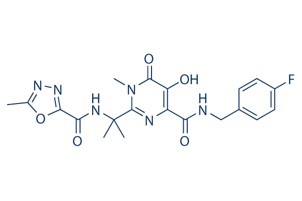 Raltegravir