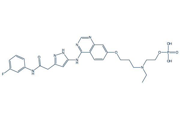 AZD1152 (Barasertib)