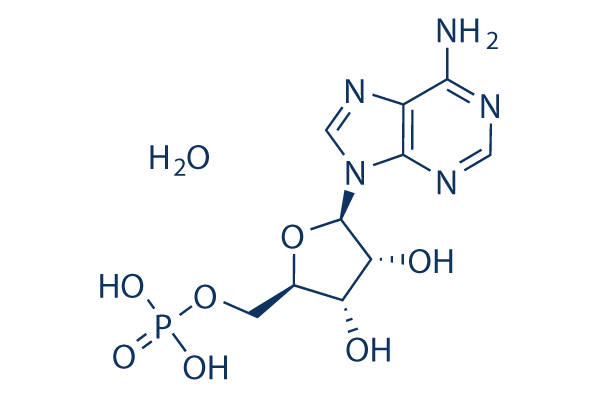 Adenosine 5'-monophosphate monohydrate
