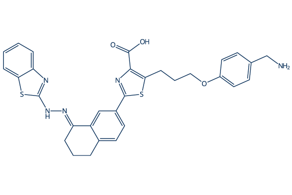 WEHI-539