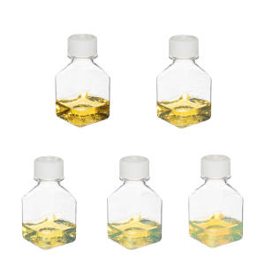 Silver Nanoparticles Introduction Kit (10nm-50nm)