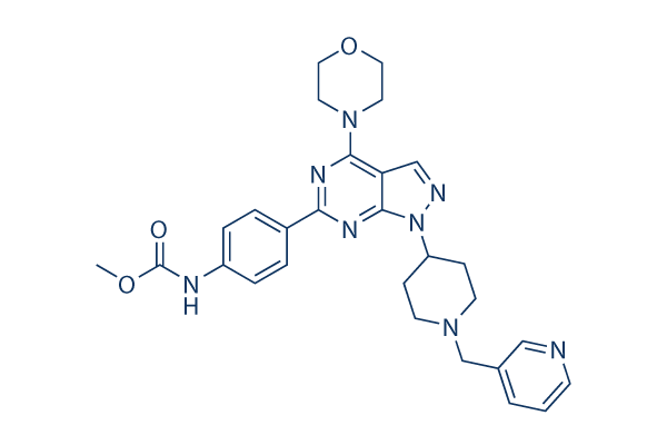 WYE-687