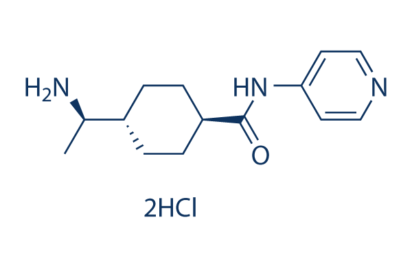 Y-27632 Dihydrochloride