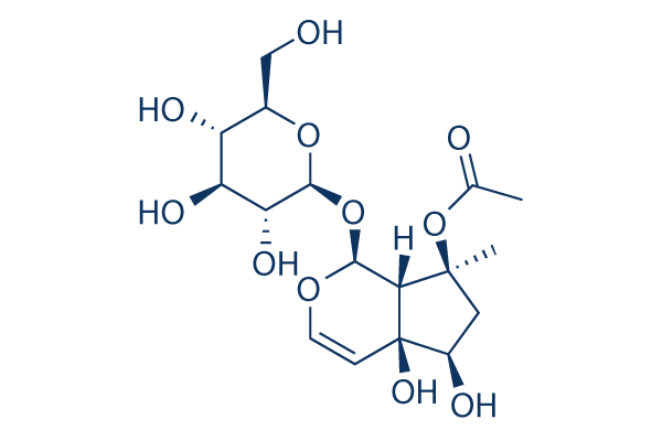 Acetylharpagide