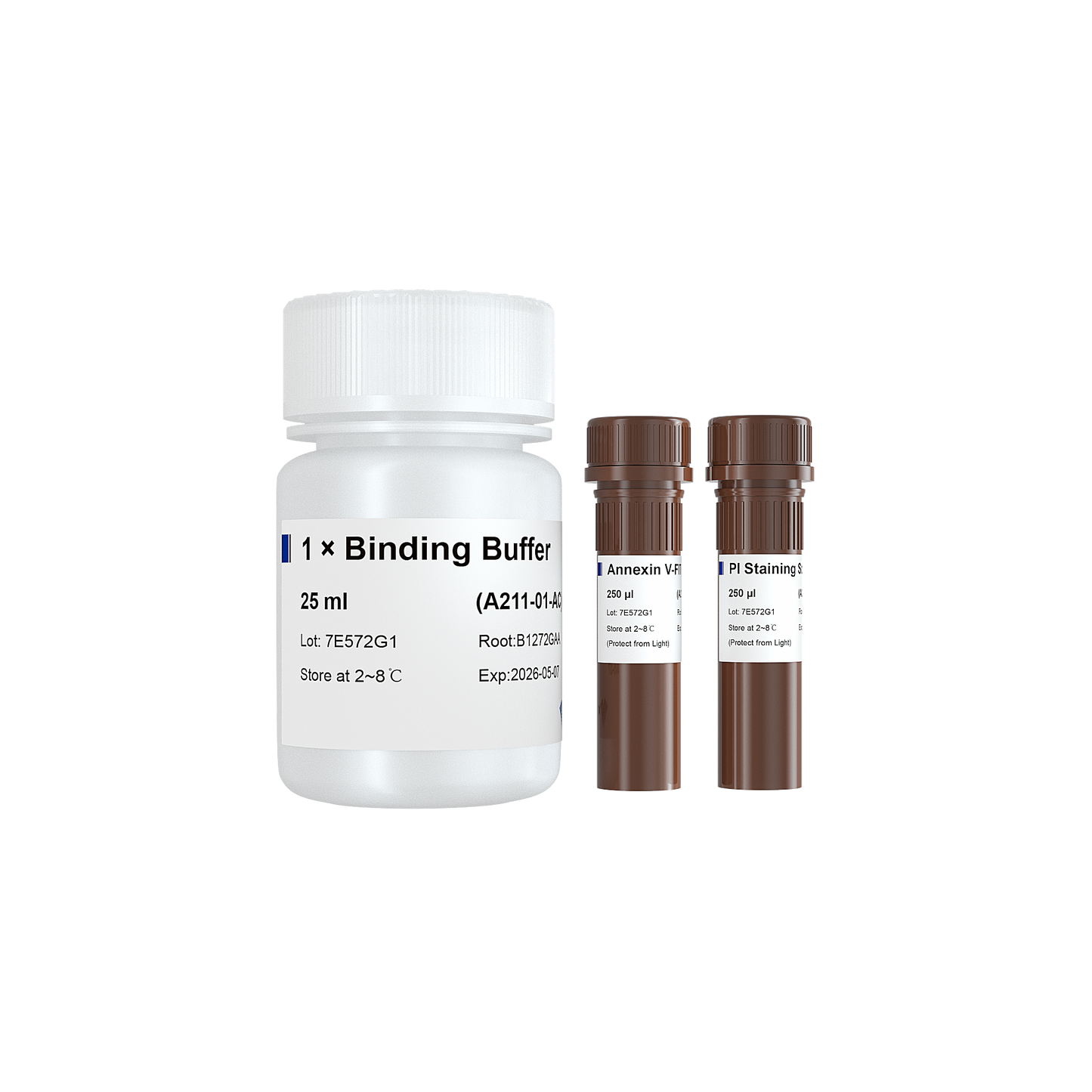 Annexin V-FITC/PI Apoptosis Detection Kit