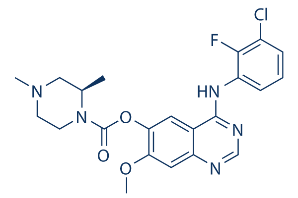 Zorifertinib (AZD3759)