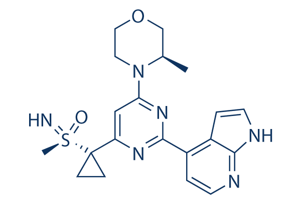 Ceralasertib (AZD6738)