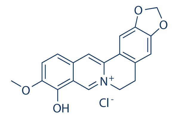 Berberrubine
