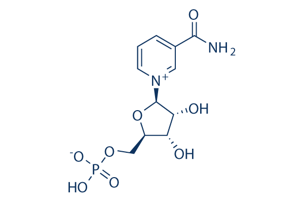 β-nicotinamide mononucleotide (NMN)