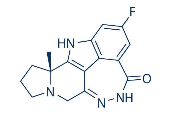 Pamiparib