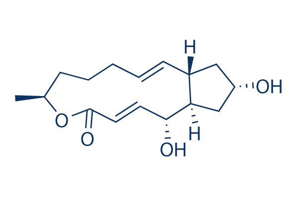 Brefeldin A (BFA chemical)