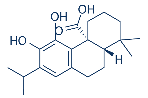 Carnosic acid