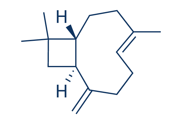 β-Caryophyllene