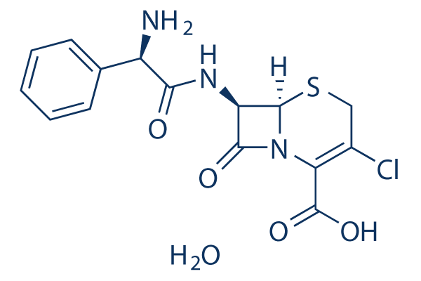Cefaclor monohydrate